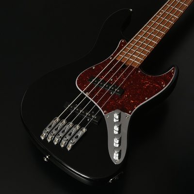 WJB5-1MS-DX-AC RSM/M